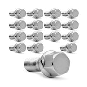 PARAF RODA CLIO/SANDERO/MEGAN/DUSTER/LOGAN (16PÇS) 02009