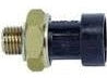 INTERR OLEO GM CORSA/CELTA/S10/SILV 7275