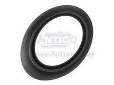 ANEL VEDAÇÃO ANTENA VW/FIAT/GM S/ESGUINCHO AV400