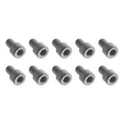 PARAF POLIA VW GOL/SANT MTR AP M 8X12 (10PÇS) LA1840